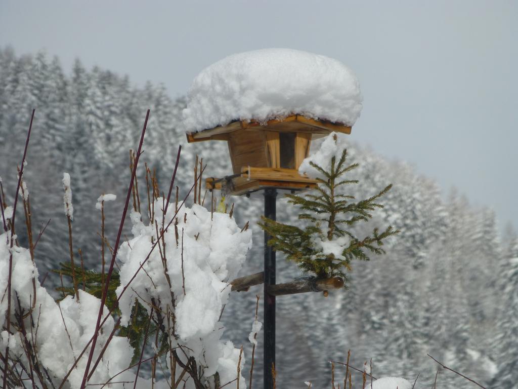 Guesthouse Mountain View Großkirchheim Dış mekan fotoğraf